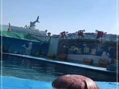 -海合安青岛极地海洋公园