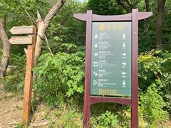 -北京凤凰岭
