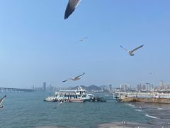 -星海广场