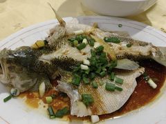 -电白鸭粥店(下沙二坊88号店)