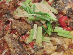 -老板恋上鱼(恒隆广场店)