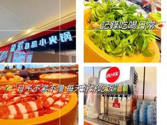 -龍歌自助小火锅(市北台东利群店)
