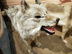 -亿利库布其七星湖沙漠生态旅游区