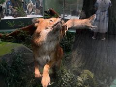 -国家自然博物馆