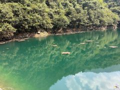 -芦茨金富饭庄·25年老字号·专做稻草鸡