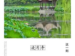-陶然亭公园