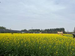 -长廊欢乐园