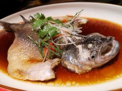 清蒸鲈鱼-北平盛世·新京菜·北京烤鸭(劲松·双井店)
