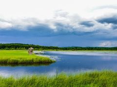 -塞罕坝国家级自然保护区