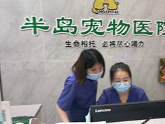 -半岛宠物医院24小时(科华中路店)