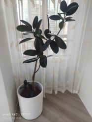 -HEYAN荷妍专业脱毛连锁机构
