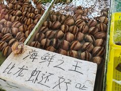 -大湾区中央湿地公园-十九涌