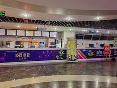 -天幕新彩云国际影城(激光巨幕店)