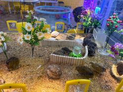 点击看大图 -神奇动物撸宠馆·羊驼·小浣熊·异宠(豫园店)