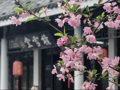 -无锡梅园公园
