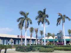 -亚龙湾国际玫瑰谷