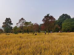 -塔川景区