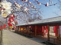 -大槐树寻根祭祖园
