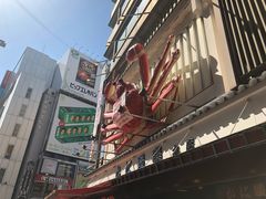 -蟹道乐(道顿堀本店)