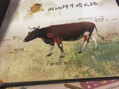 -潮汕牛肉火锅(铁西店)
