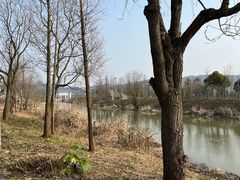 -长兴太湖图影湿地文化园