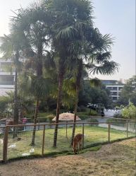 -尚圣月子会所·庄园式月子中心(萧山湘湖店)