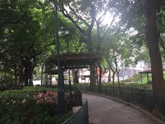 -九龙公园