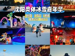 -沈阳奥体冰雪嘉年华