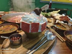 -楠火锅(哈尔滨金爵万象店)