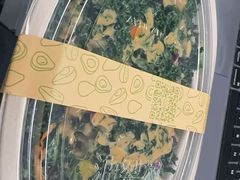 -油梨树AVOCADO TREE(望京店)
