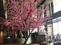 -金轩中餐厅 Jin Xuan(浦东丽思卡尔顿酒店)