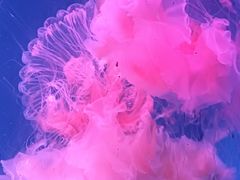 -广州海洋馆