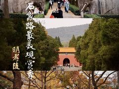 -灵谷景区