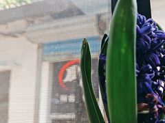 -家烧面馆【南山路知名经典面食】