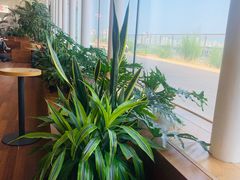 -Seesaw Coffee(朝阳大悦城店)