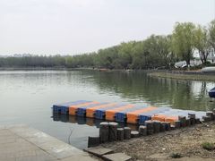 -大兴滨河森林公园
