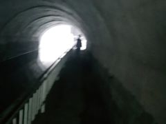-白水寺森林公园