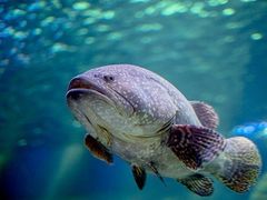 -沈阳海洋探索中心