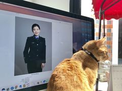-羽·摄影工作室·外拍·跟拍·活动会议视频
