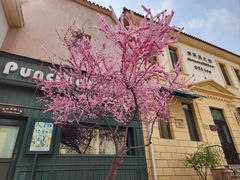 -北京张裕爱斐堡酒庄