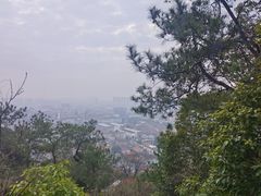 -余姚市灵岩禅寺