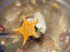 鲜人参锅底-千岛蚝高压锅生蚝·人参火锅(白云万达店)