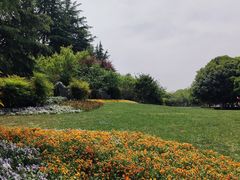 -明故宫遗址公园