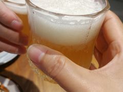 -椿不老