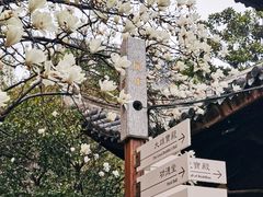 -龙华寺