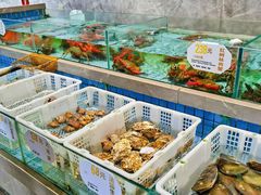 -千灯盛汇·头牌粤菜(致越优城店)