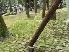 -富春桃源风景区