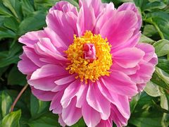 -国家植物园南园