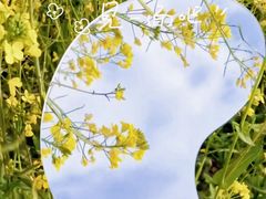-西京湾花海