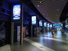 -新影联·华谊兄弟影院(望京店)